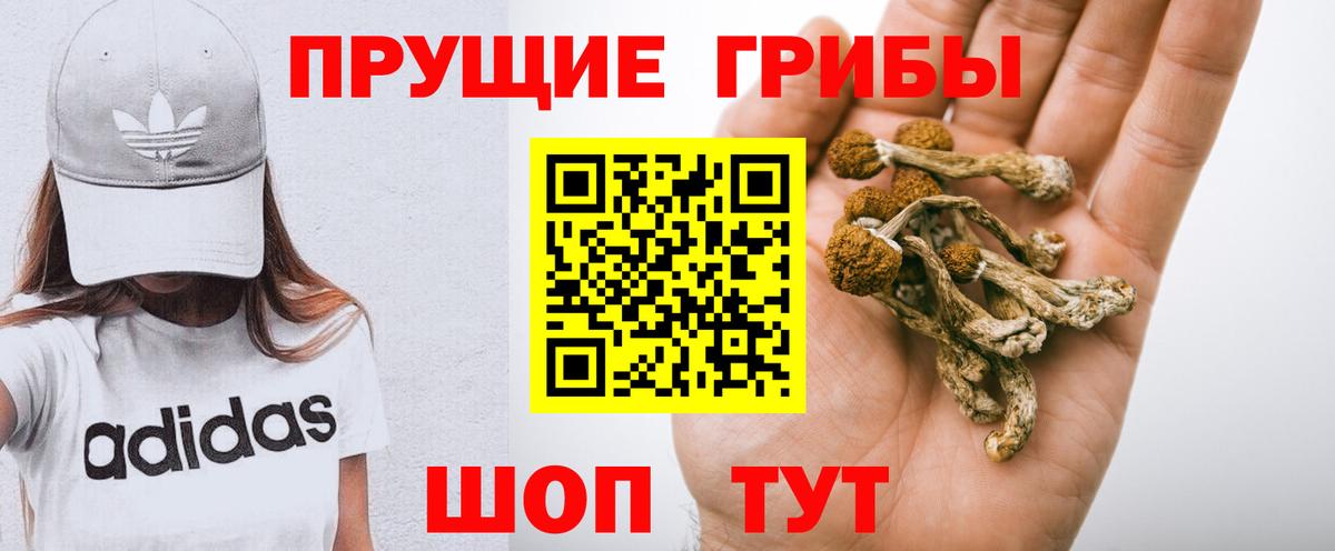 Галлюциногенные грибы прущие грибы  Вход с VPN  Ейск 
